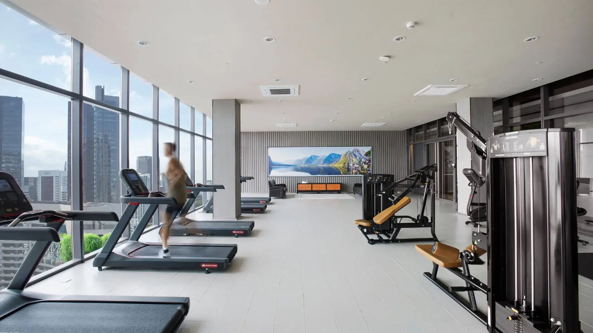 gymnasium-level-51-the-face-style